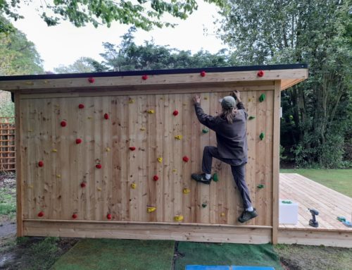 Nordic Room with climbing wall